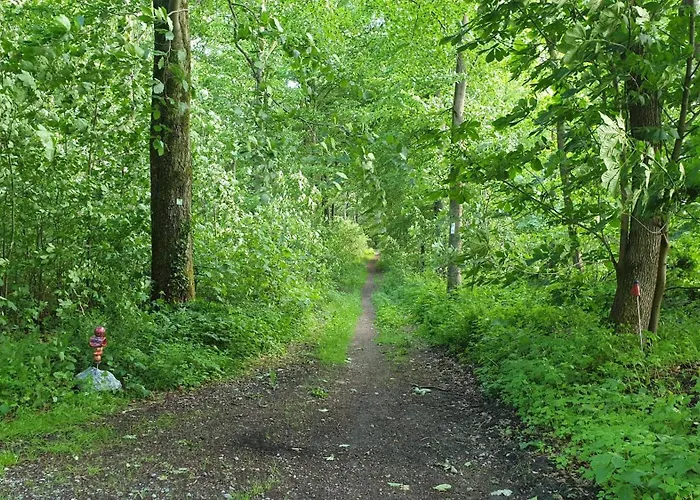 Herbst In Der Waldrand Mit Luxus Bad Bad Wünnenberg